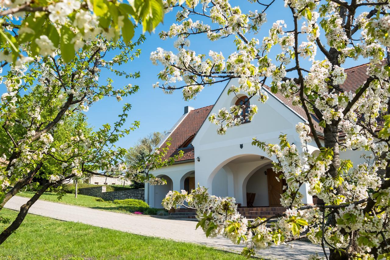Figula Vendeghaz Hotel Balatonfured Exterior photo